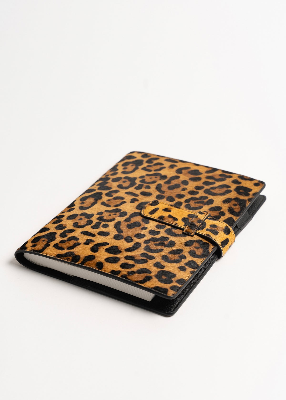 Cover Camelia in vero cavallino